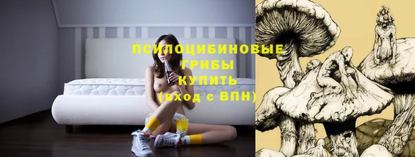 индика Алзамай