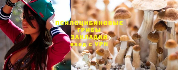таблы Алексеевка
