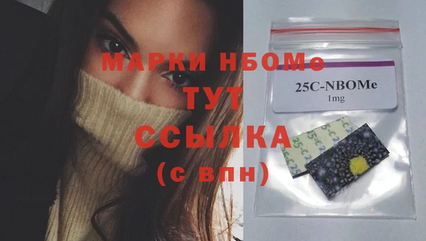 индика Алзамай