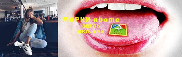 прущие грибы Алексин