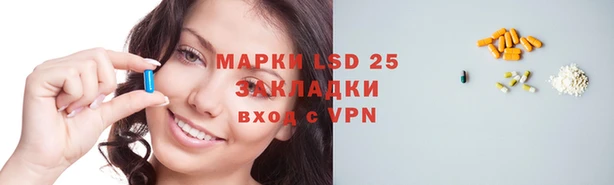 индика Алзамай