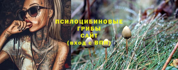 молекула духа Абдулино