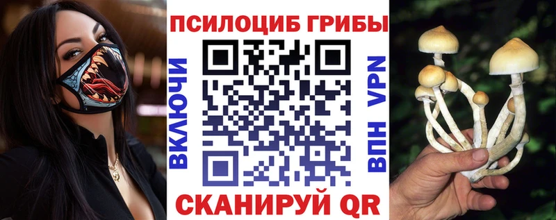 Псилоцибиновые грибы мухоморы  где продают   Северодвинск 